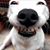 Ginger Hudgins's profile image
