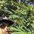 Seth Reinke's profile image