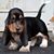 Linda Freiheit's profile image