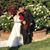 Alfonso Saldivar's profile image