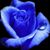 Roberta Smith's profile image
