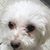 Lynn Marino's profile image