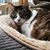 Dawn Geiger's profile image