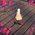 Karen Ventre's profile image
