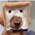 Chuck Johnson's profile image