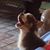 Joni Florence's profile image