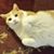 Paula Jackson Brode's profile image