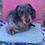 Michelle Hajek's profile image