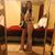 Luciana Santos's profile image