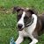 Michelle Catucci Murphy's profile image