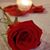 Whitney Hollowell Meads's profile image