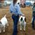 Beth Dearman- McAlister's profile image