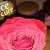 Joyce Marie Lamson's profile image