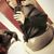 Rachel Bhadd's profile image