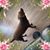 Gail Kline-Coyle's profile image