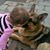 Gregory Scott Dean's profile image
