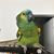 Guk Gabi's profile image
