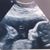 Sarah Hamren's profile image