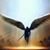 Julio Venegas's profile image