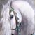 Rae Palmer's profile image