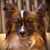 RJ Clark's profile image