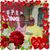 Kathy Kindervater's profile image