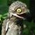 Jason Rothbauer's profile image