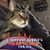 Tracy Spacy's profile image