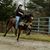 Debra Shantie Duncan's profile image