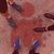 Eric Clark's profile image