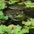 Jill Hess Rotondo's profile image