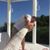 Tracy Simmons Renshaw's profile image