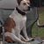 Greg Lawson's profile image