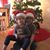 Tracy Lynn Brown's profile image