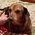 Marty-Vivian York's profile image