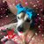 Cathy Anderson's profile image