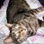 Barb Scheetz's profile image