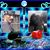Shannon N Daniel Molliere's profile image