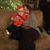 Theresa Murray's profile image