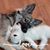 Ruth Enlow's profile image