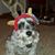 Debra Brunk's profile image