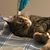 Nyssy Stigler's profile image