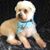 Amy Wilson's profile image