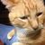 James Hansen's profile image