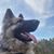 Stephanie Ashenden's profile image