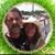 Angela Distler's profile image