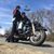Dennis D'Angelo's profile image