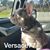 Silvia Rodriguez's profile image