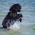 Susan Cucura's profile image