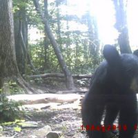 Roberts Tammy's profile image